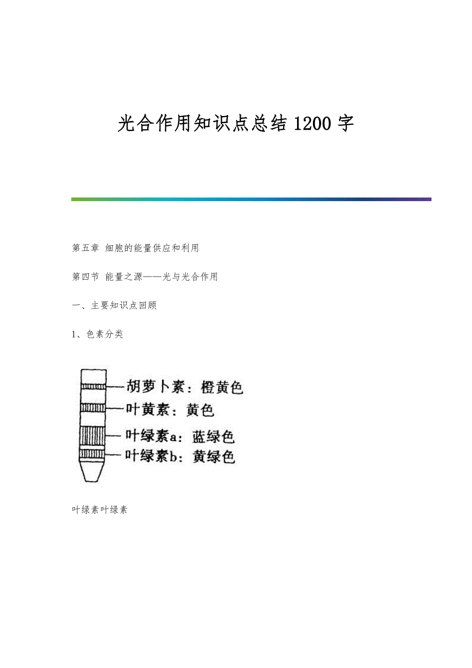 光合作用知识点总结1200字_第1页