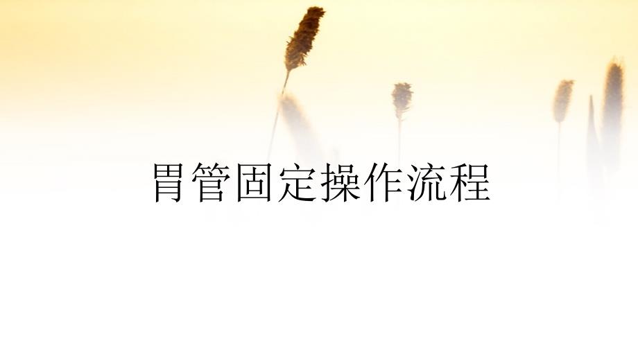 胃管固定操作流程(精品)_第1页