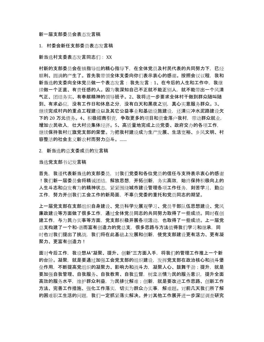新一届支部委员会表态发言稿_第1页