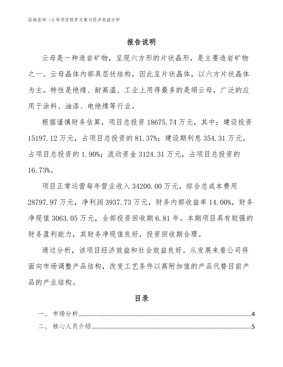 云母项目投资方案与经济效益分析（参考模板）_第1页