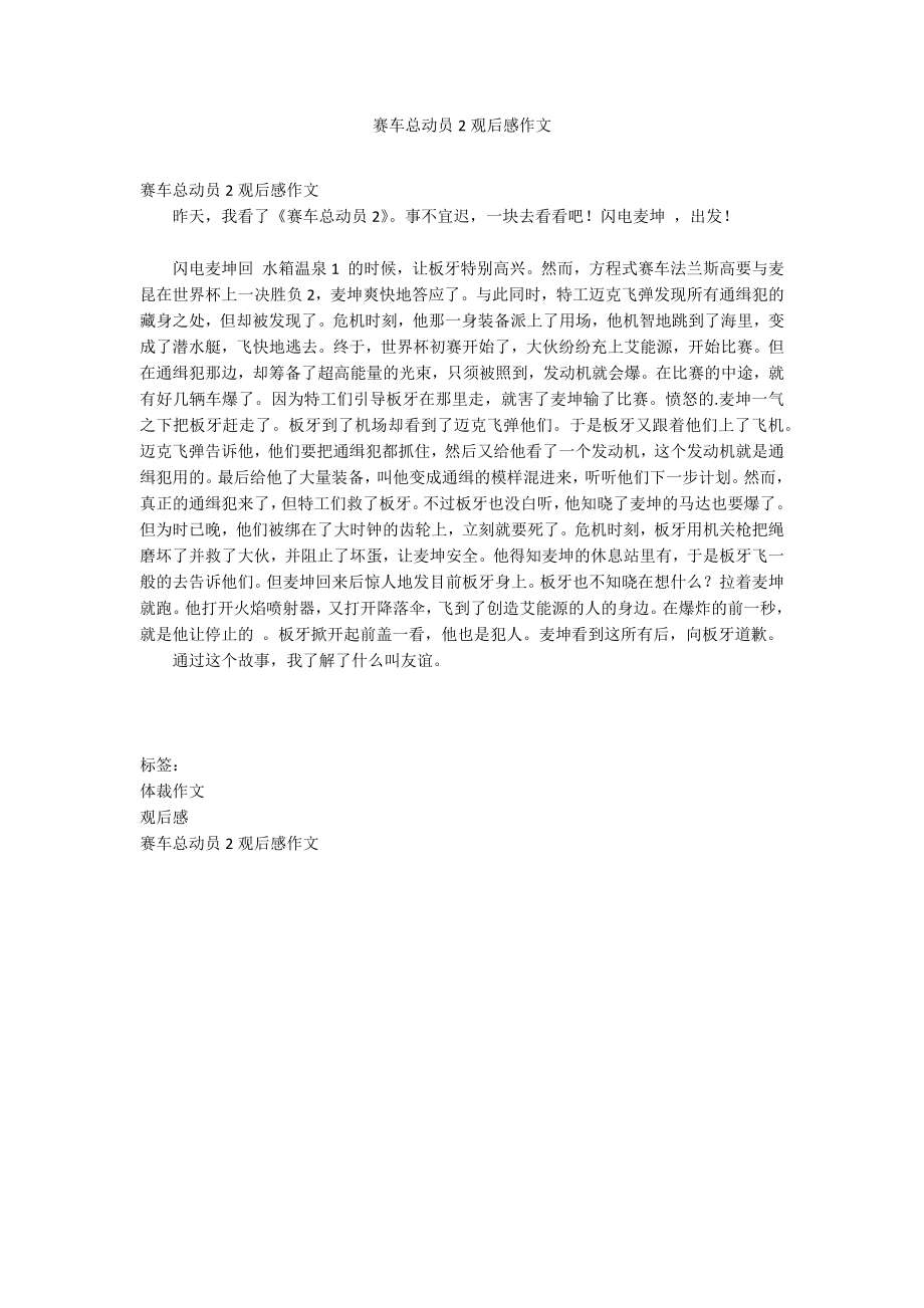 赛车总动员2观后感作文_第1页