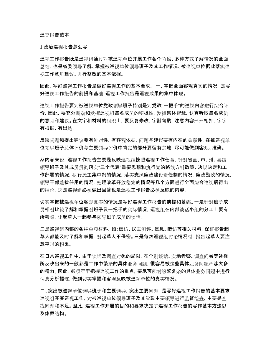 巡查报告范本_第1页