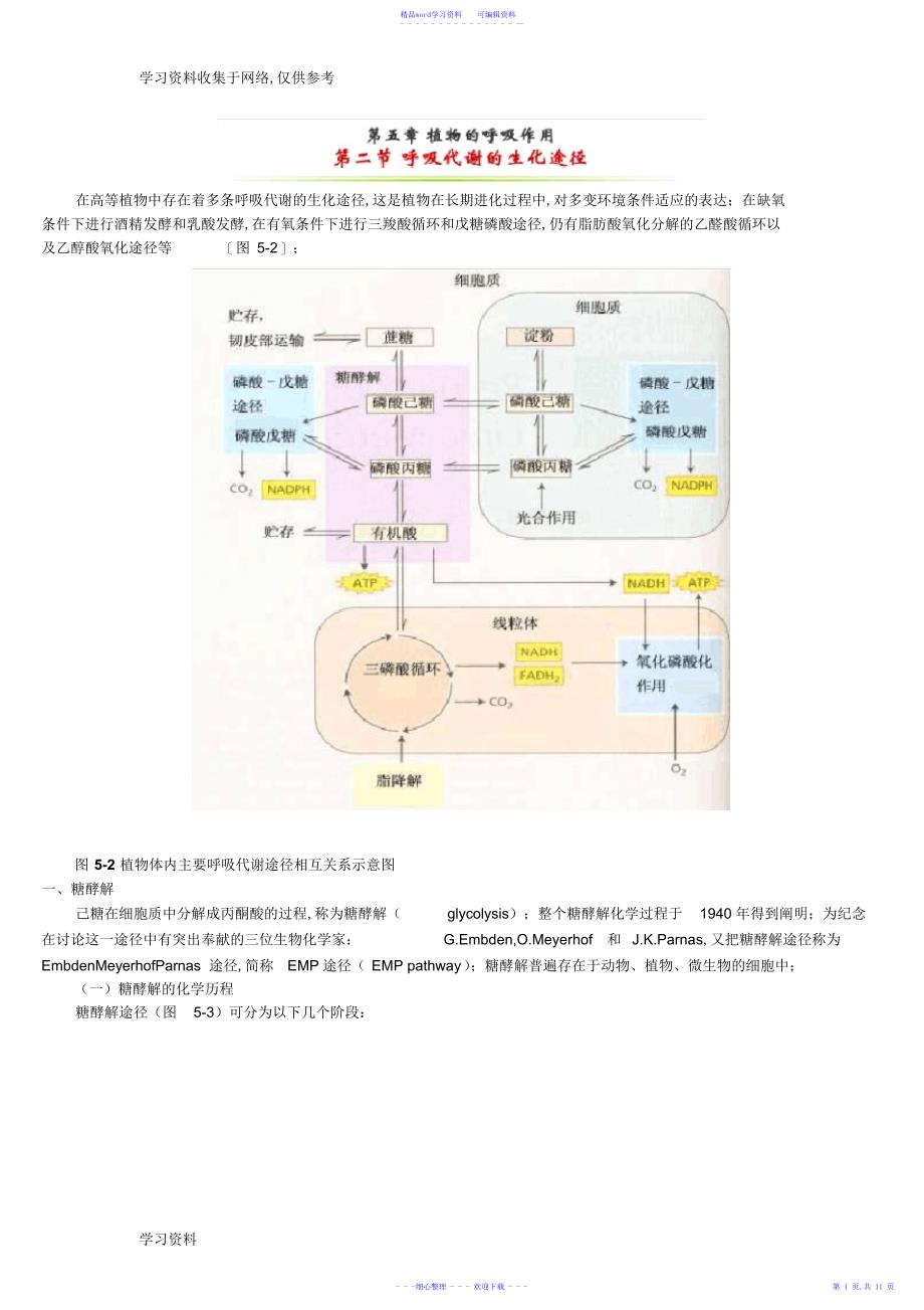 2022年糖酵解三羧酸循环最全总结_第1页