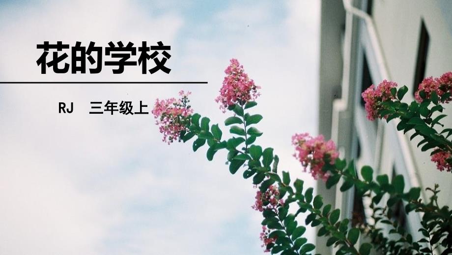 人教版三年级语文上册--花的学校_第1页