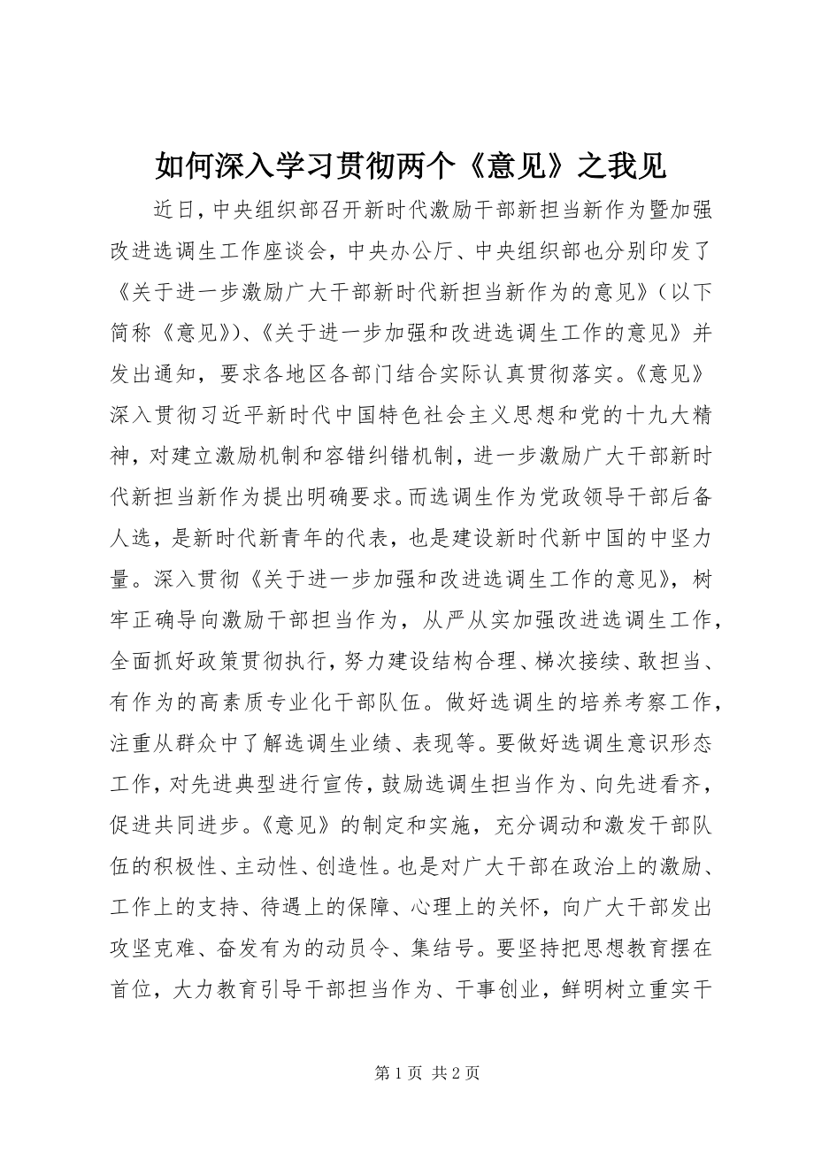 如何深入学习贯彻两个《意见》之我见_第1页