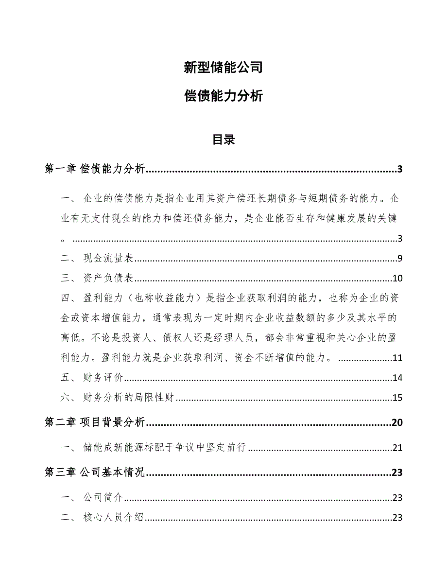 新型储能公司偿债能力分析_第1页