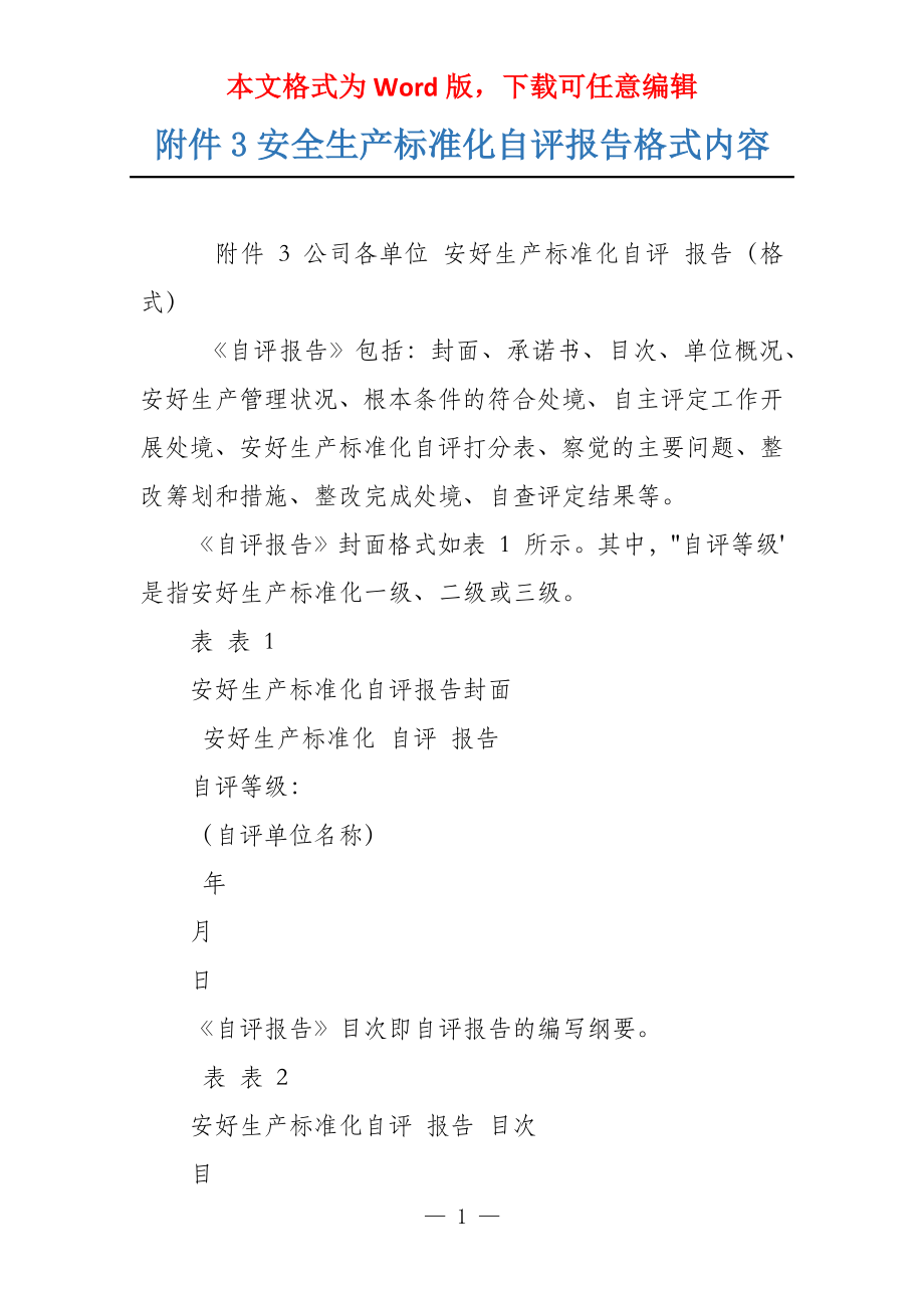 附件3安全生产标准化自评报告格式内容_第1页