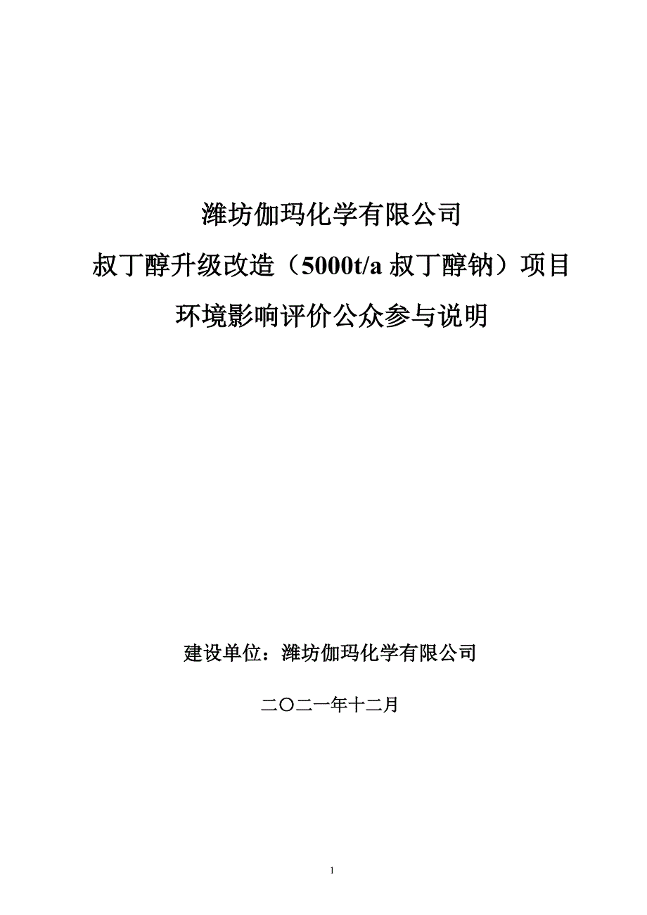 伽马化学叔丁醇钠项目公众参与说明_第1页