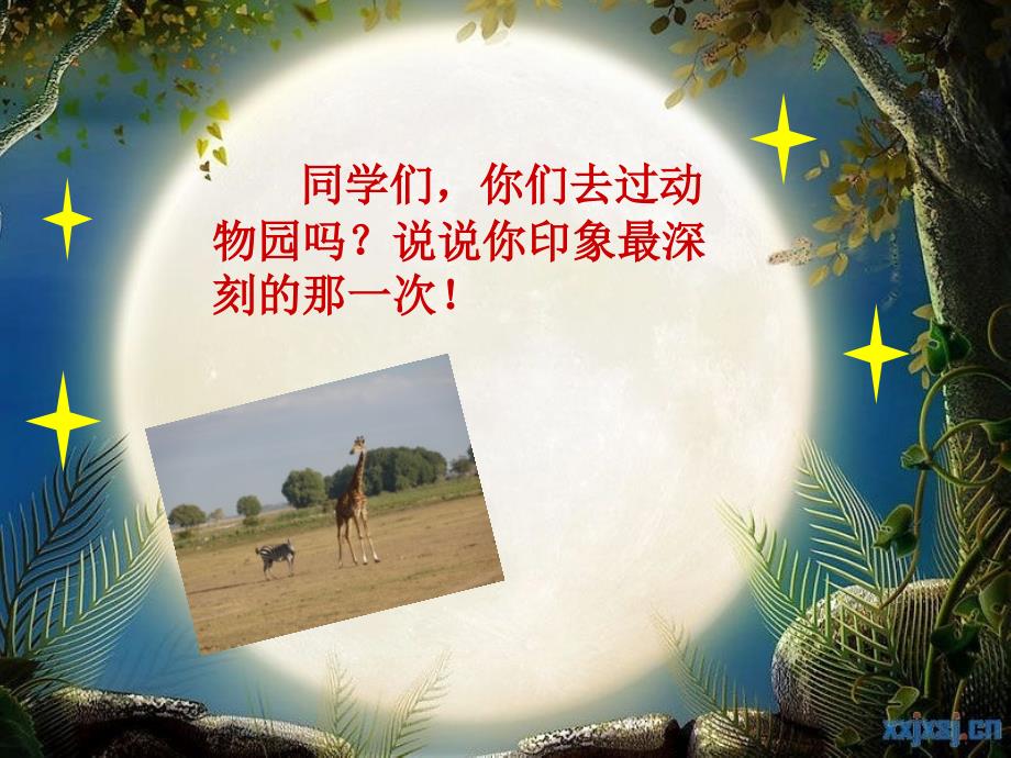 20、天然动物园漫游记(吴凡)_第1页