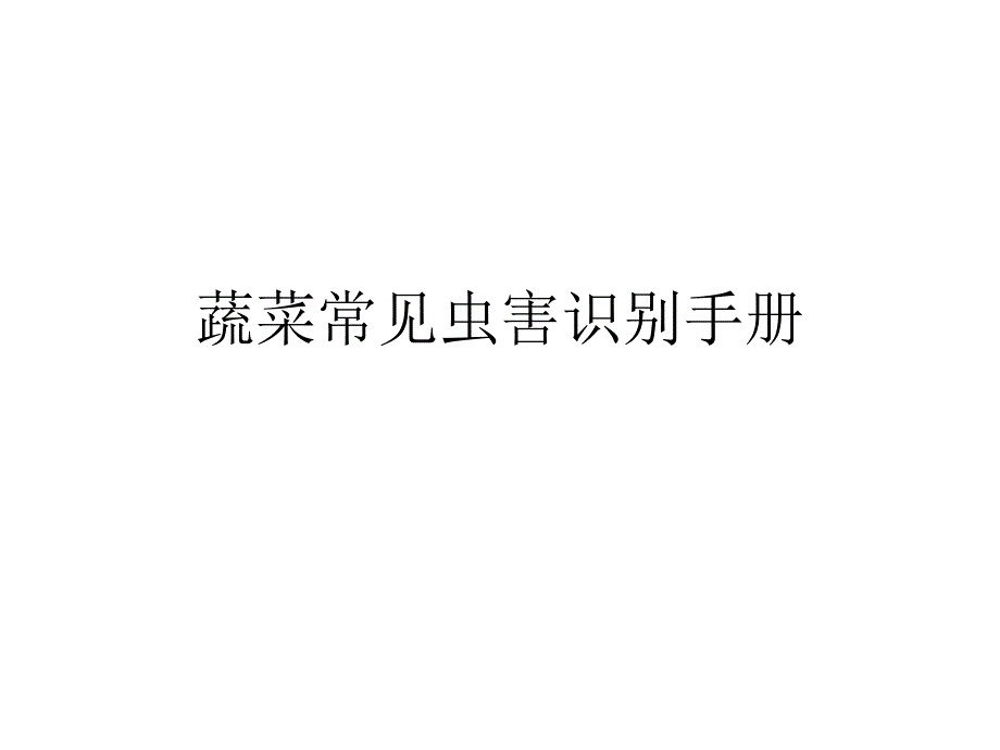 蔬菜常见虫害识别手册2分析_第1页