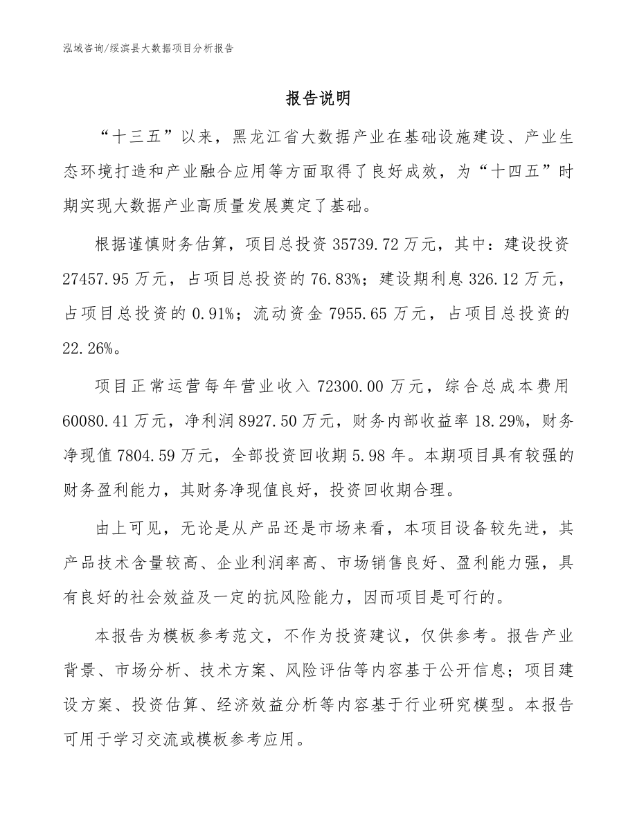 绥滨县大数据项目分析报告（参考模板）_第1页