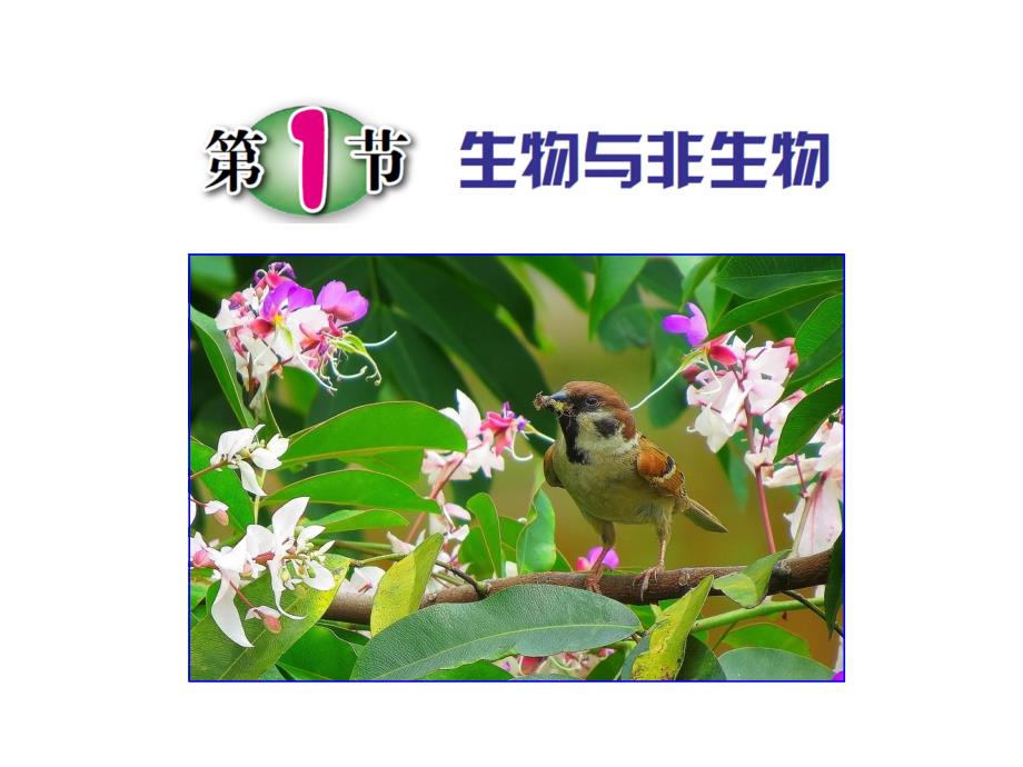 初中科学浙教课标版七年级上册第1节 生物与非生物_第1页