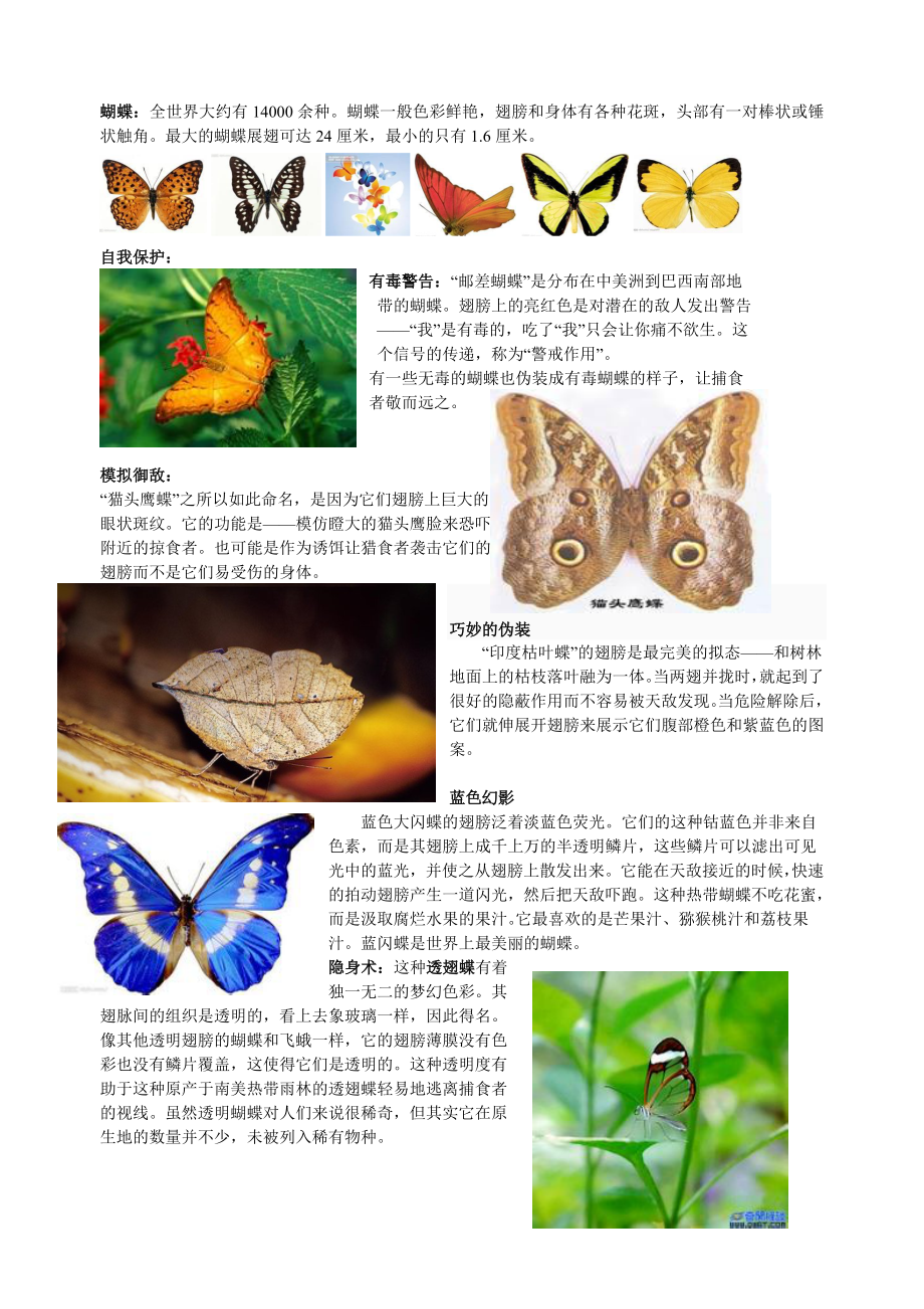 动物特点及自我保护_第1页