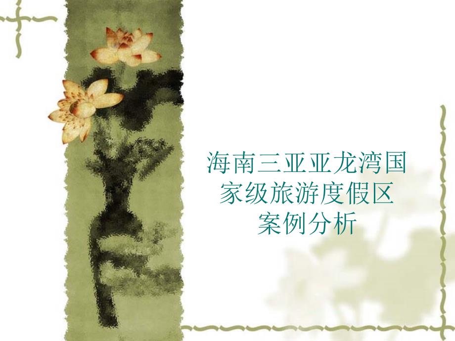海南三亚亚龙湾案ppt_第1页