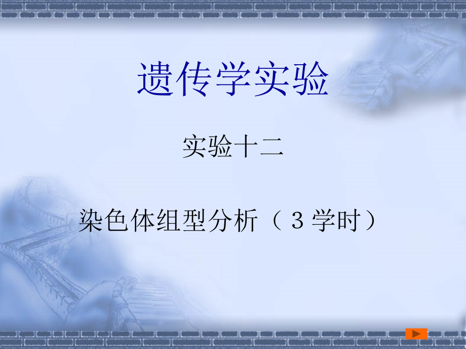 遗传学试验_第1页