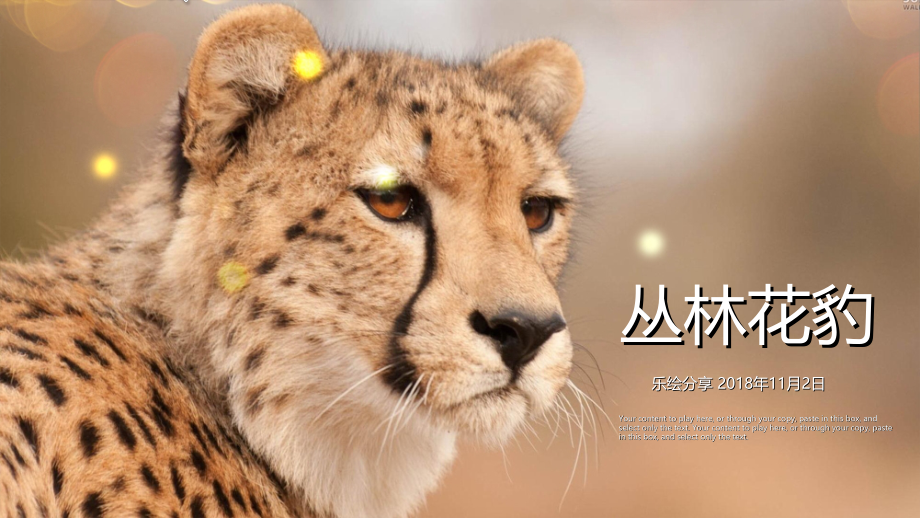 少儿美术-9日《7-9岁创意画之林中花豹》_第1页