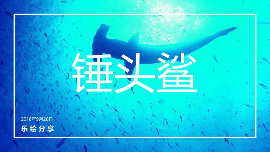 少儿美术水彩笔-乐绘8-10岁《锤头鲨》_第1页