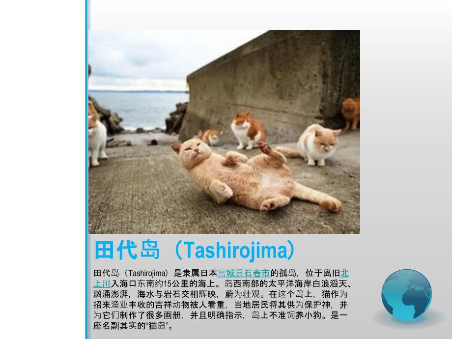 世界各种猫咪介绍解读课件_第1页