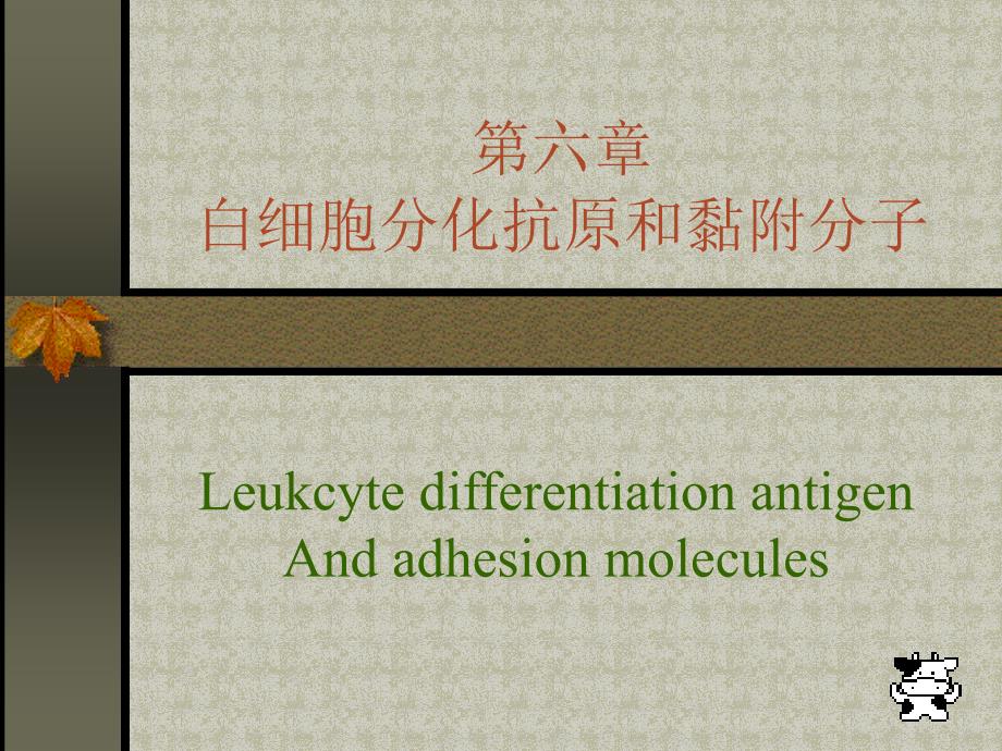 6-CD分子与黏附分子课件_第1页