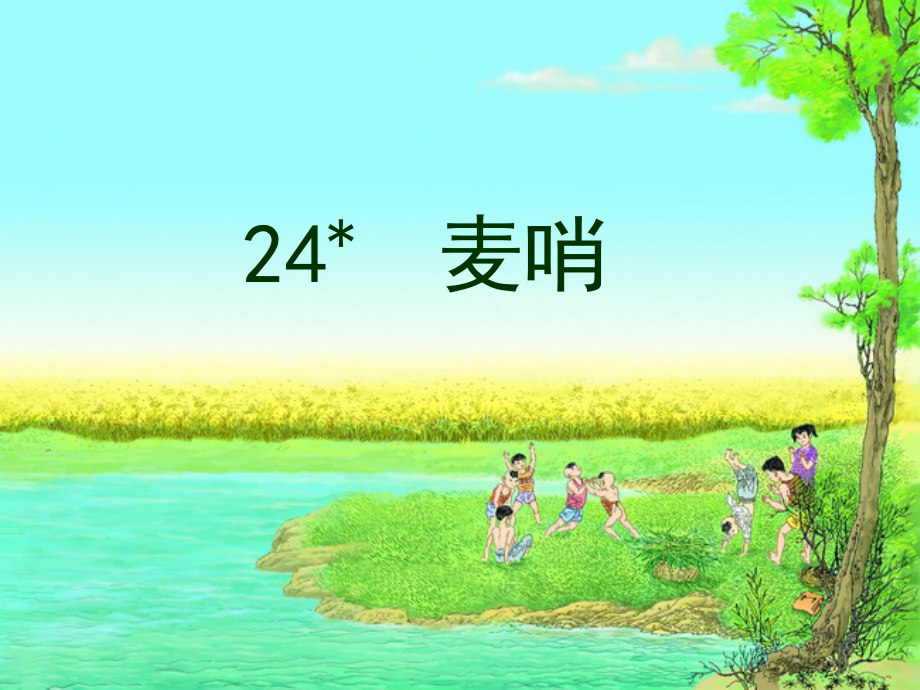 24课.麦哨-完美版课件_第1页