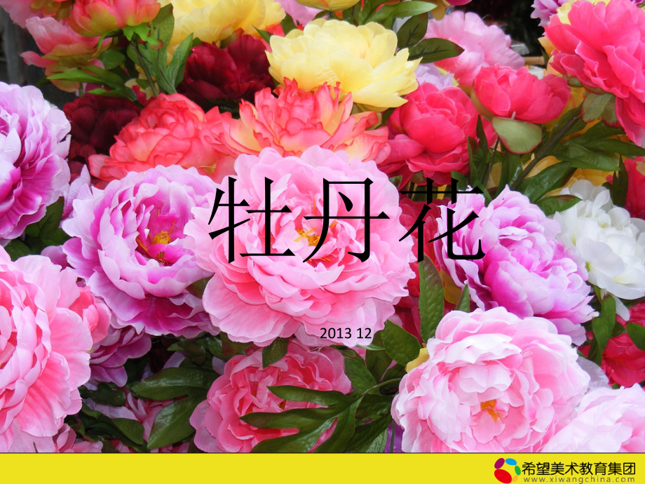 [少儿美术国画]-牡丹花_第1页