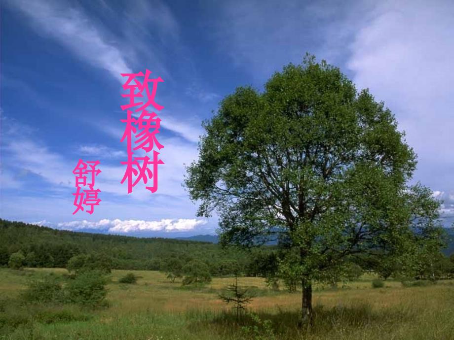 《致橡树》图片巨好课件_第1页