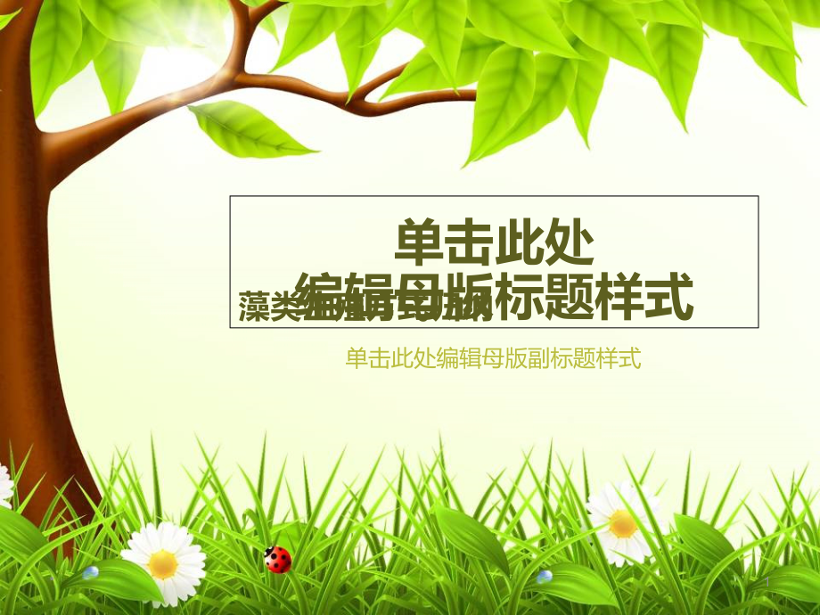 藻类生殖方式归纳课件_第1页