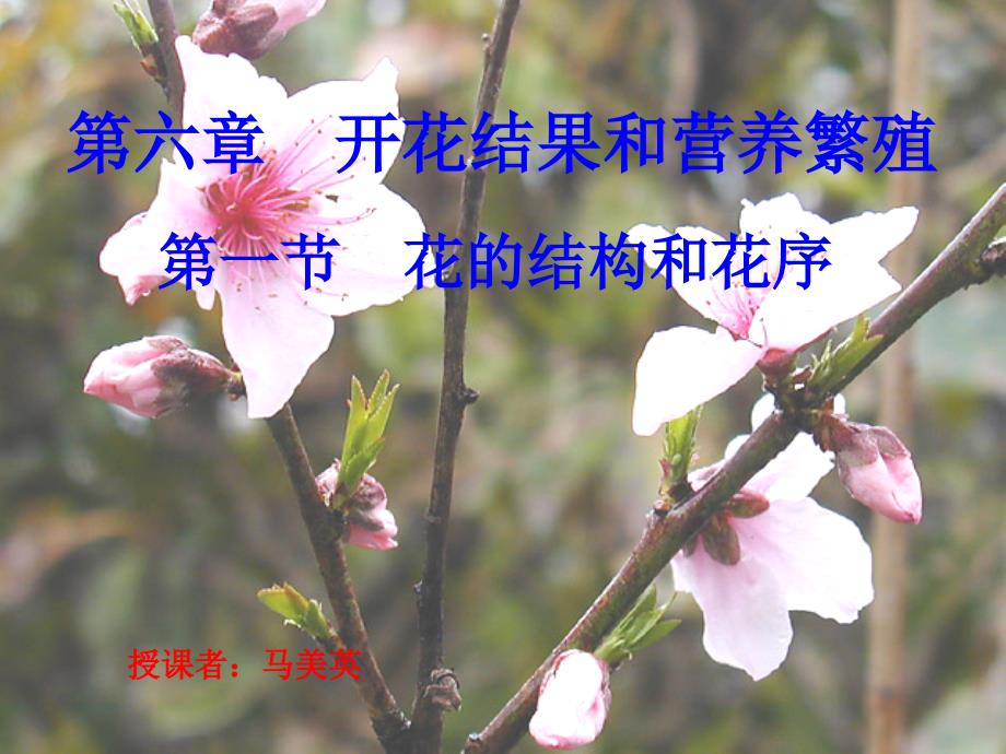 初一花的结构和花序(精)课件_第1页
