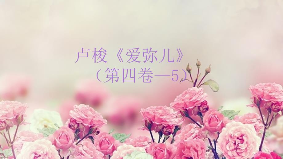 精读卢梭《爱弥儿》十四课件_第1页