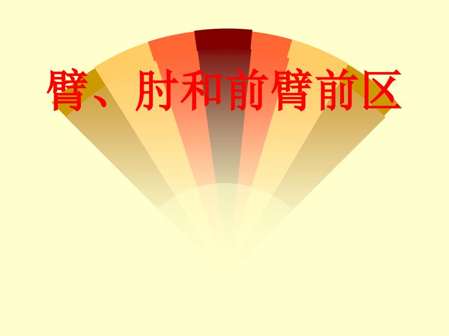 前臂、肘和前臂前区课件_第1页