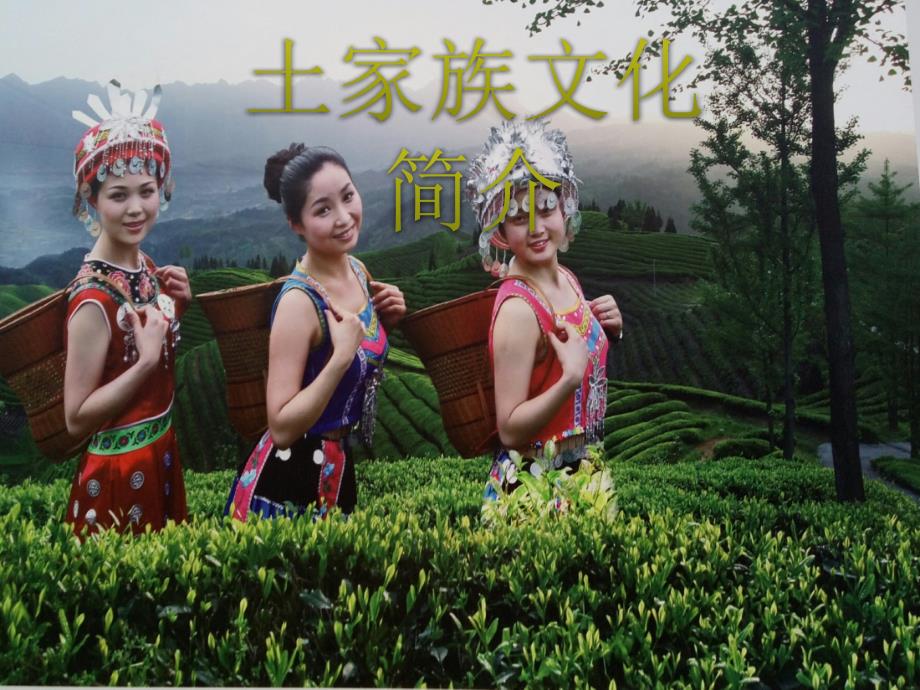 土家族文化课件_第1页