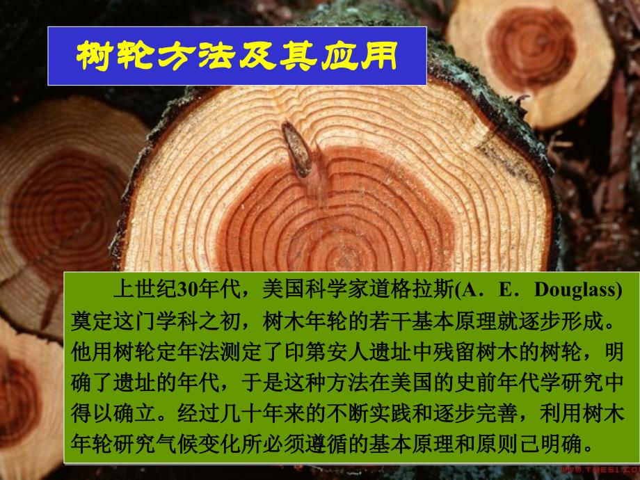 树轮方法及其应用课件_第1页
