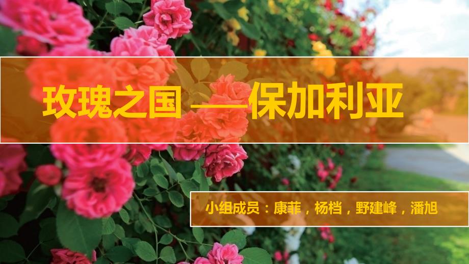 保加利亚介绍-跨文化交际课用课件_第1页