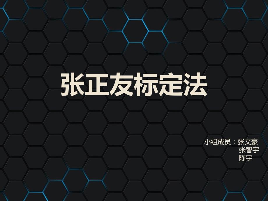 张正友标定法_第1页