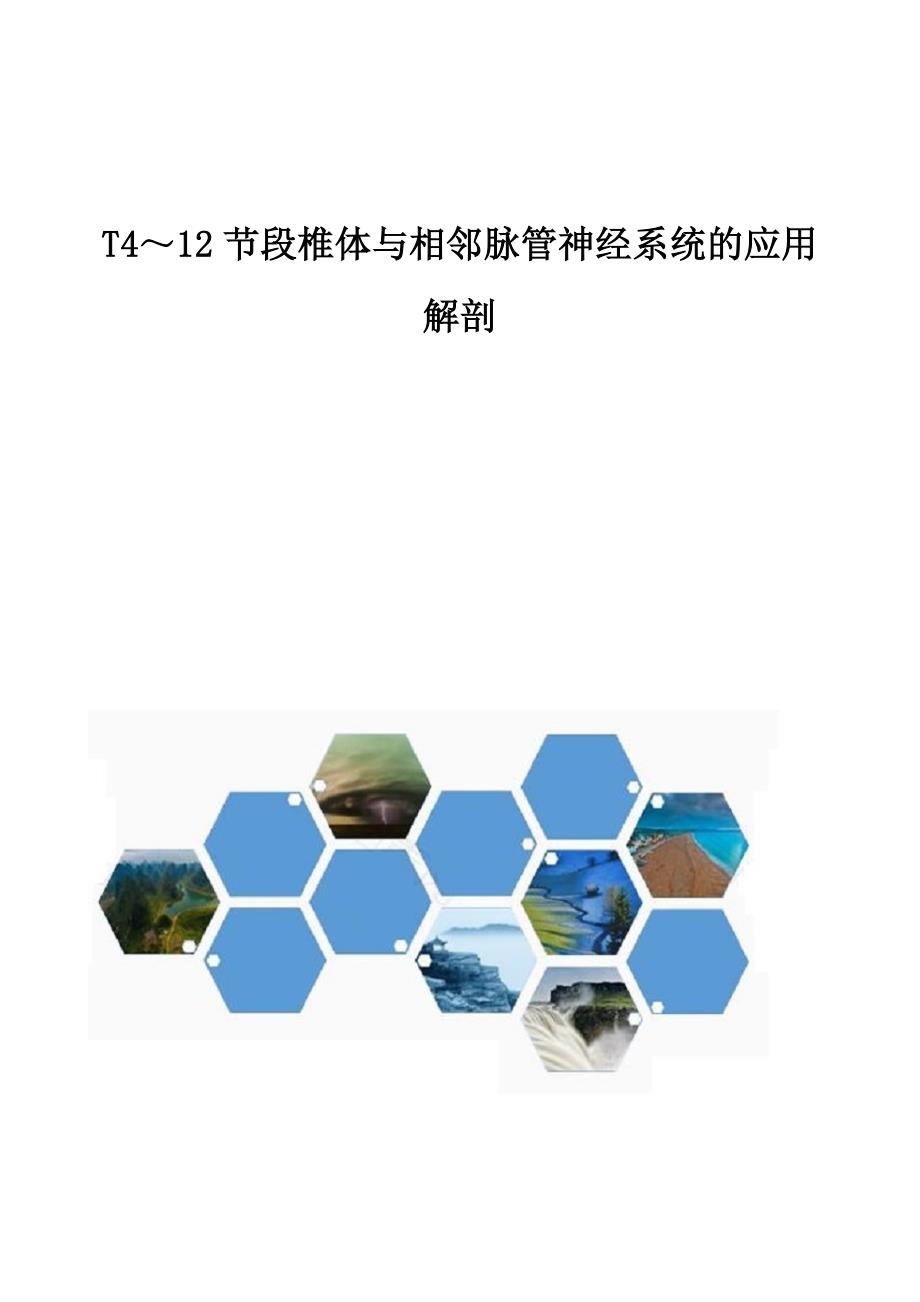 T4～12节段椎体与相邻脉管神经系统的应用解剖_第1页