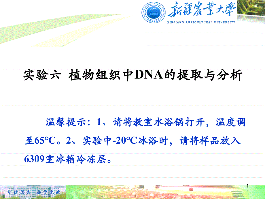 实验六 植物组织基因组DNA的提取与分析(CTAB法)[共12页]_第1页