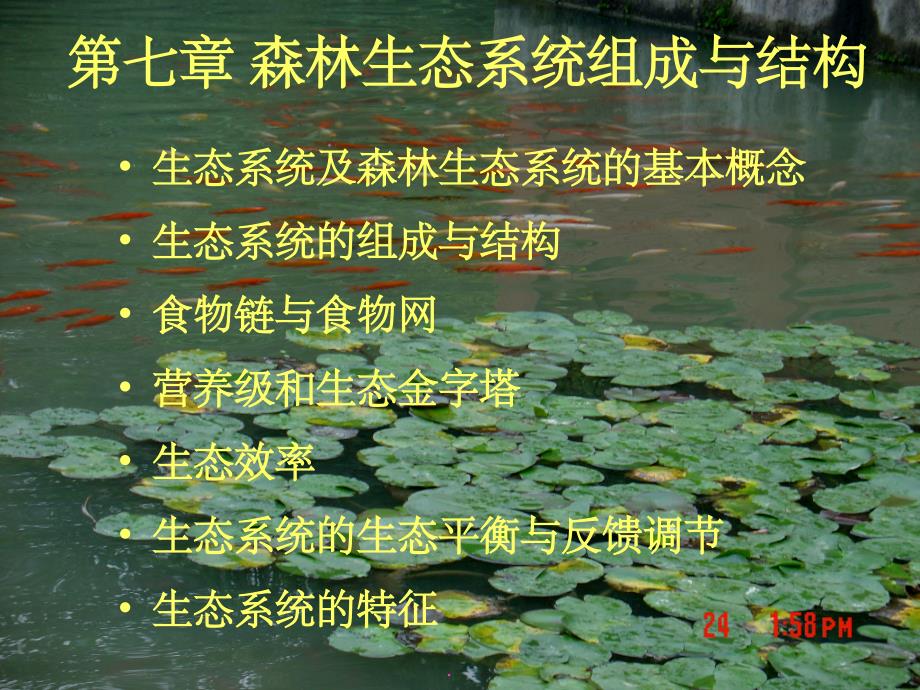 森林生态系统的组成与结构ppt课件_第1页