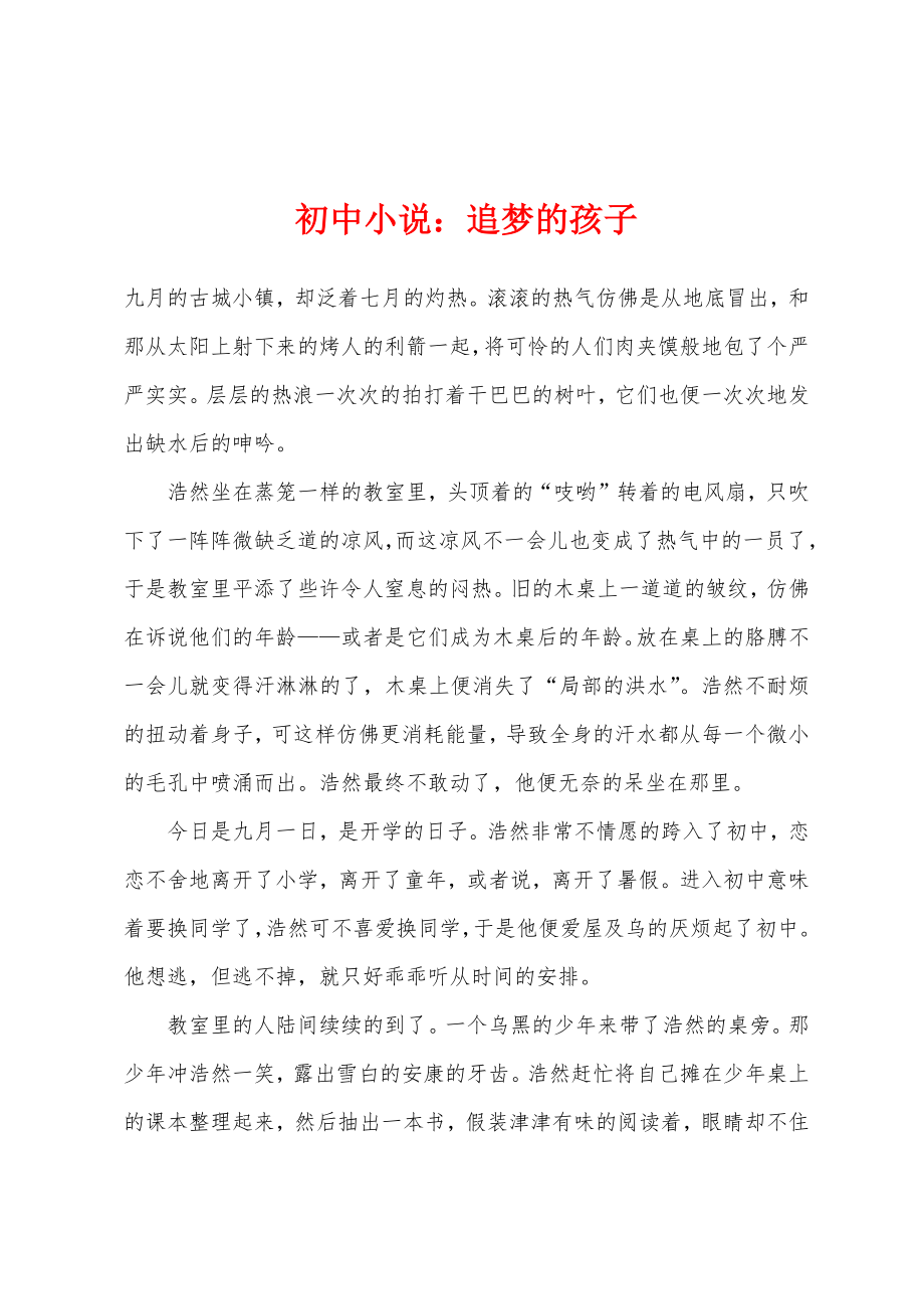 初中小说追梦的孩子_第1页