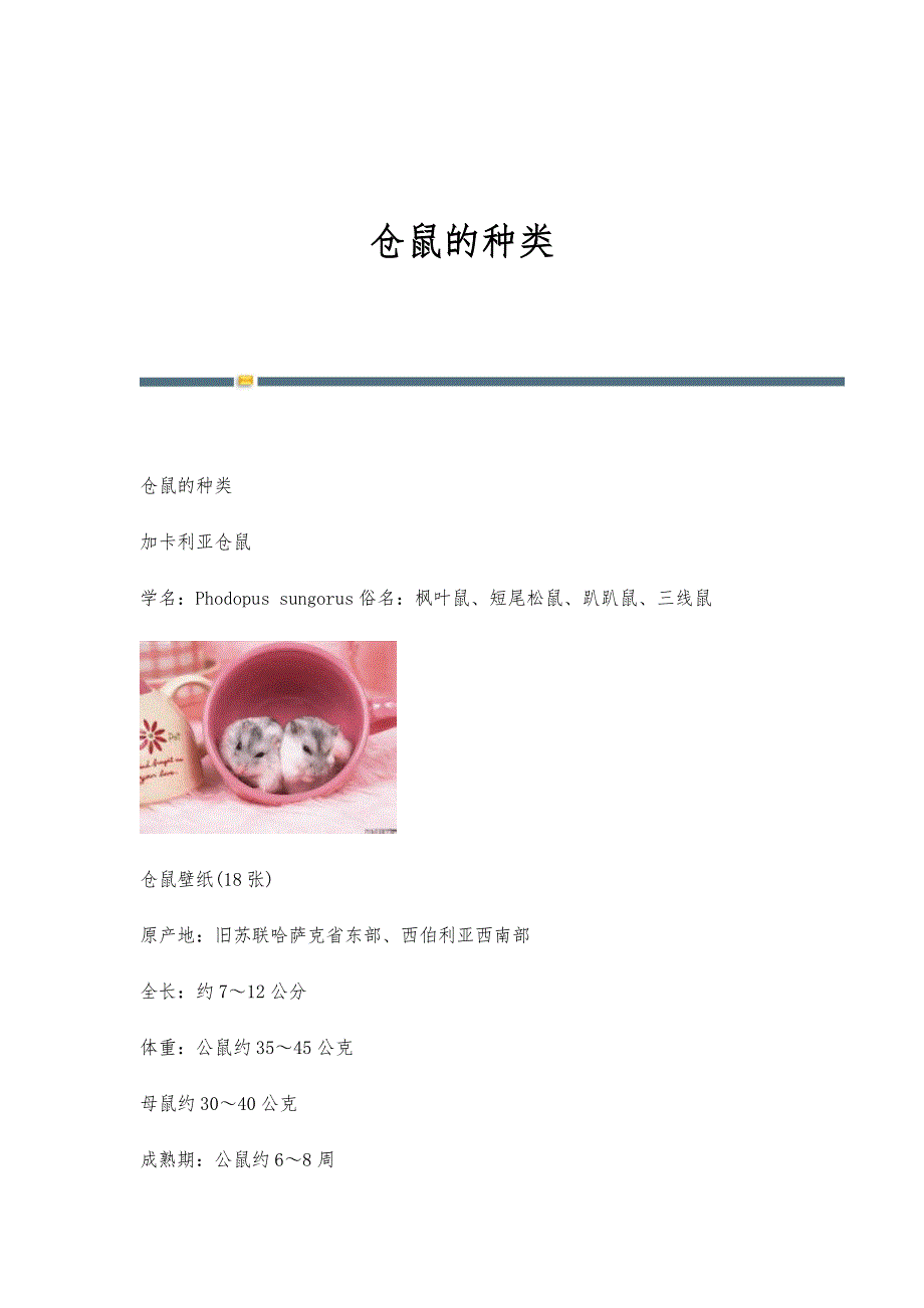 仓鼠的种类_第1页