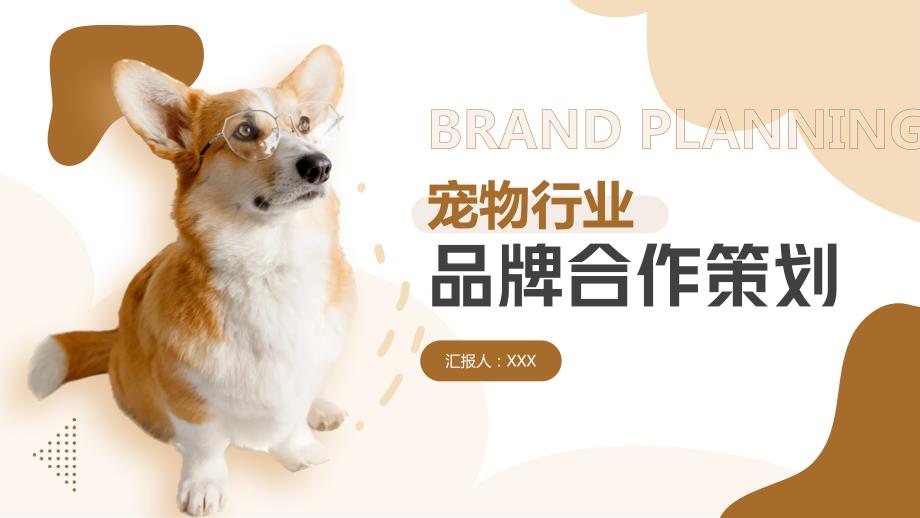 宠物行业品牌合作策划PPT模板_第1页