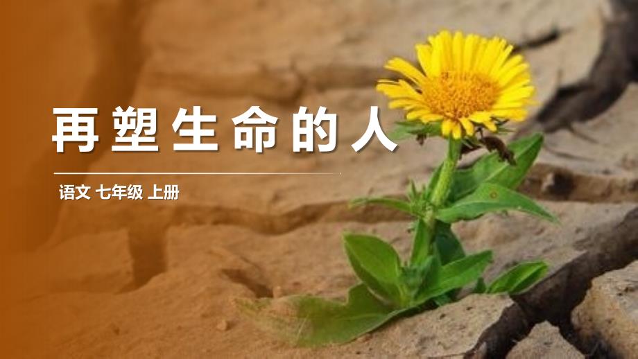 第10课《再塑生命的人》 统编版语文七年级上册 (1)_第1页