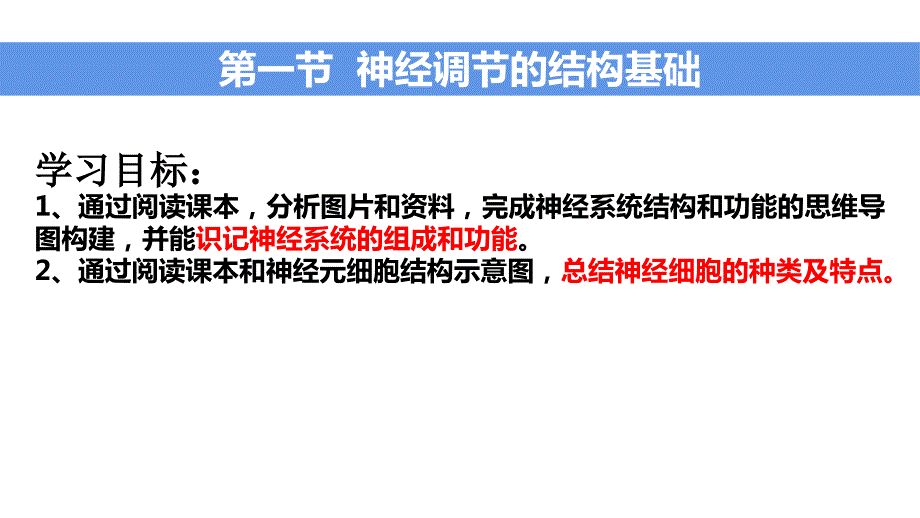 【生物】2024届高三一轮复习生物：神经调节的结构基础和基本方式课件_第1页