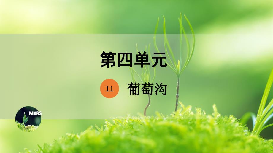 统编版小学语文 二年级上册 第4单元 11 《葡萄沟》 课件PPT_第1页