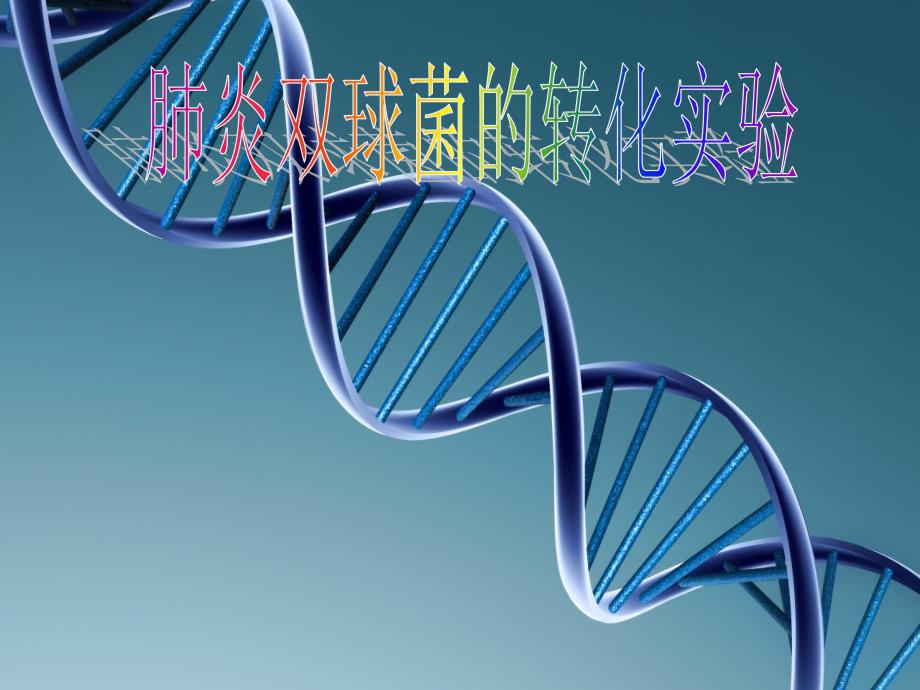 肺炎双球菌转化的试验过程_第1页