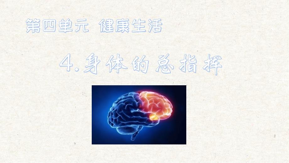 4-4《身体的总指挥》课件_第1页