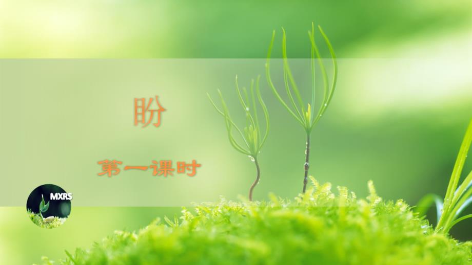 统编版小学语文 六年级上册 第5单元 17《盼》第1课时_教学PPT_第1页