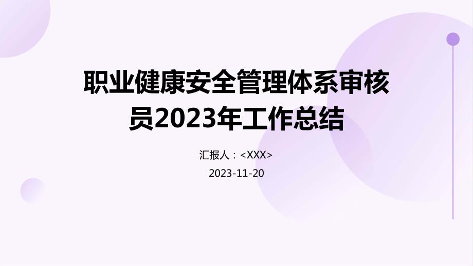 职业健康安全管理体系审核员2023年工作总结_第1页