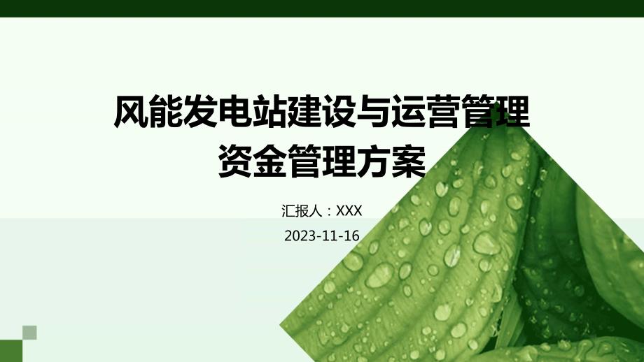 风能发电站建设与运营管理资金管理方案_第1页
