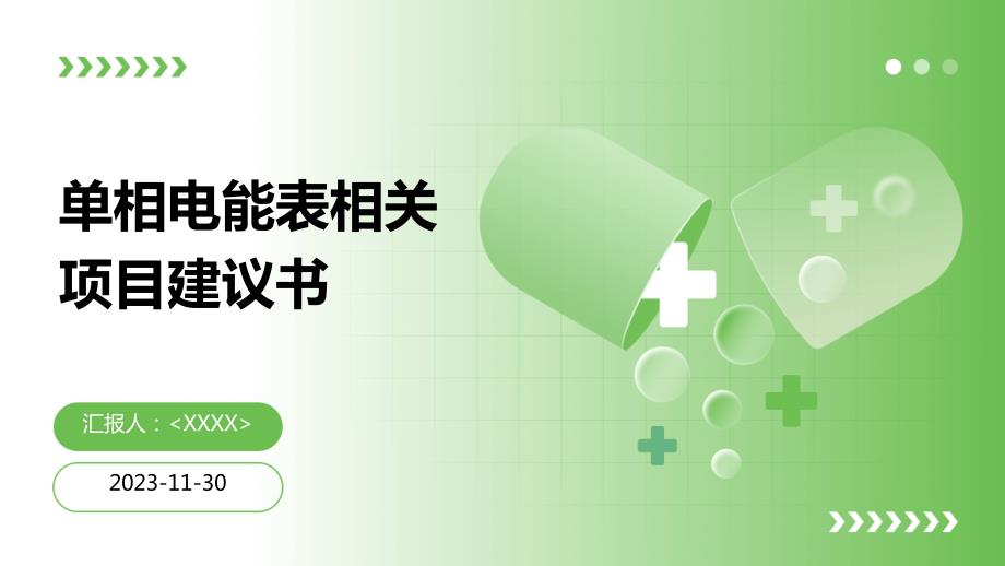 2024年单相电能表相关项目建议书_第1页