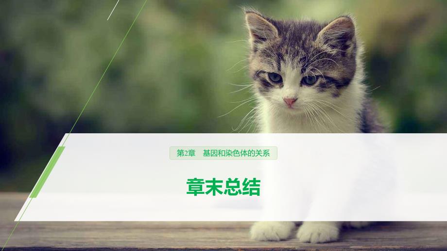 高中生物必修二第2章《基因和染色体的关系》章末复习教学课件-统编人教版_第1页